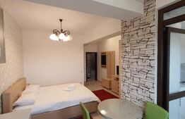 Garsoniera de vanzare, 25.86 mp, zona Central 