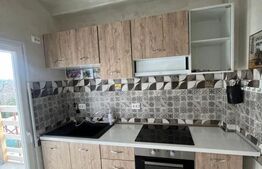 APARTAMENT O CAMERA CIUREA 