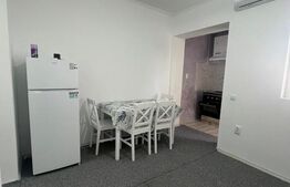 Apartament 1 camera CIUREA 