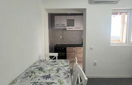 Apartament 1 camera CIUREA 