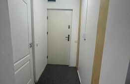 Apartament 1 camera CIUREA 