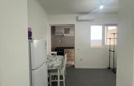 Apartament 1 camera CIUREA 