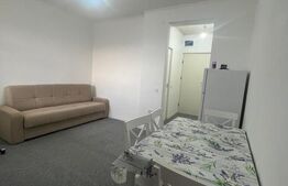 Apartament 1 camera CIUREA 