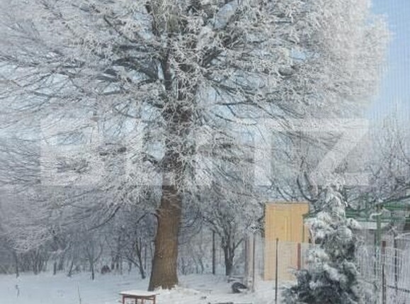 Casa de vânzare 4 camere Exterior Sud - 188255CV | BLITZ Iași | Poza4