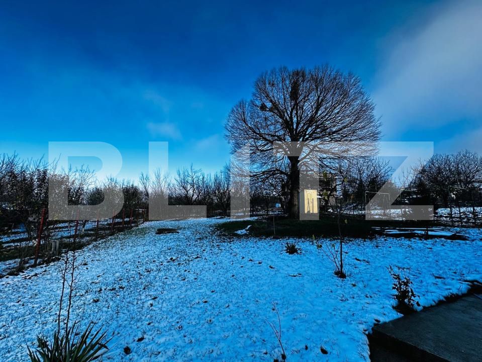 Casa de vânzare 4 camere Exterior Sud - 188255CV | BLITZ Iași | Poza3