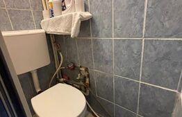 Camera de camin, 17 mp, zona Bularga