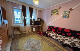 Camera de camin, 17 mp, zona Bularga