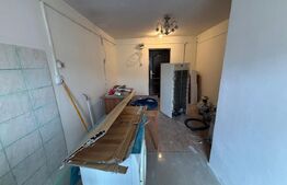 Garsonieră renovată, 17.77 mp, zona Dancu 