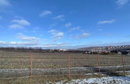 Teren intravilan cu cabana, 700mp, Ciurea