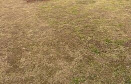 Teren intravilan cu cabana, 700mp, Ciurea