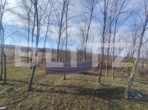 Teren de vânzare Ciurea - 188650TV | BLITZ Iași | Poza3