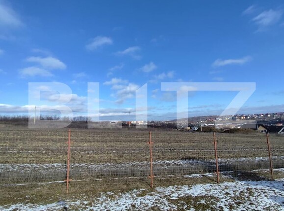 Teren de vânzare Ciurea - 188650TV | BLITZ Iași | Poza2