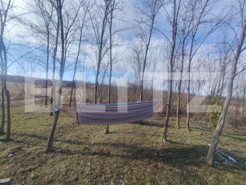 Teren de vânzare Ciurea - 188650TV | BLITZ Iași | Poza3