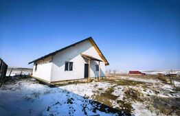 Casă parter cu pod înalt mansardabil – Voinesti