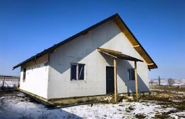 Casă parter cu pod înalt mansardabil – Voinesti