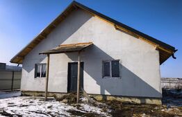 Casă parter cu pod înalt mansardabil – Voinesti