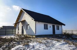 Casă parter cu pod înalt mansardabil – Voinesti