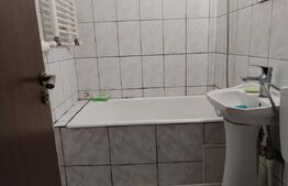Apartament 1 cameră, 21 mp, zona Tudor Vladimirescu