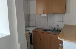Apartament 1 cameră, 21 mp, zona Tudor Vladimirescu