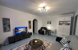 Apartament 2 camere, 50 mp, zona Podu Roș 