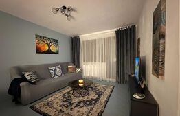 Apartament 2 camere, 50 mp, zona Podu Roș 