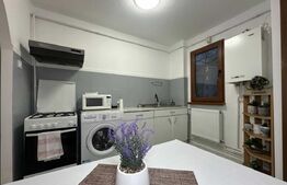 Apartament 2 camere, 50 mp, zona Podu Roș 