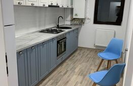 Apartament 2Camere Hlincea cu Terasa