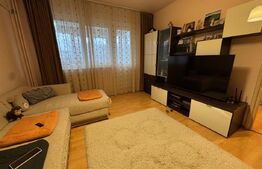 Apartament 2 camere, 47.29 mp, Splai Bahlui 