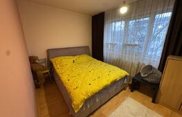 Apartament 2 camere, 47.29 mp, Splai Bahlui 