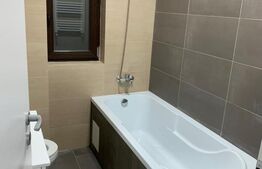 Apartament 1 Camera Hlincea cu Terasa