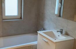 Apartament 1 Camera Hlincea cu Terasa