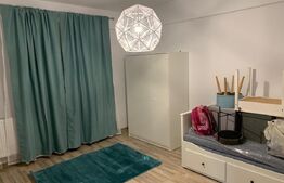 Apartament 1 Camera Hlincea cu Terasa
