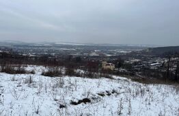 Teren 1240 mp intravilan, Vladiceni