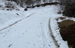 Teren 1240 mp intravilan, Vladiceni