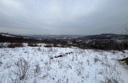 Teren 1240 mp intravilan, Vladiceni