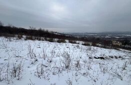 Teren 1240 mp intravilan, Vladiceni