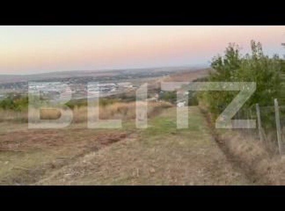 Teren de vânzare Vladiceni - 189004TV | BLITZ Iași | Poza3