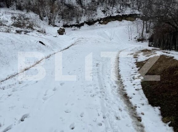 Teren de vânzare Vladiceni - 189004TV | BLITZ Iași | Poza4