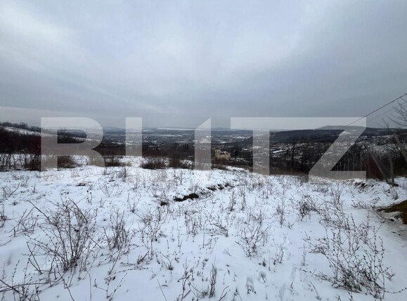 Teren de vânzare Vladiceni - 189004TV | BLITZ Iași | Poza3