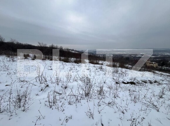 Teren de vânzare Vladiceni - 189004TV | BLITZ Iași | Poza2