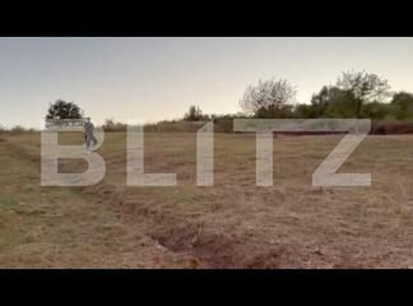 Teren de vânzare Vladiceni - 189004TV | BLITZ Iași | Poza5