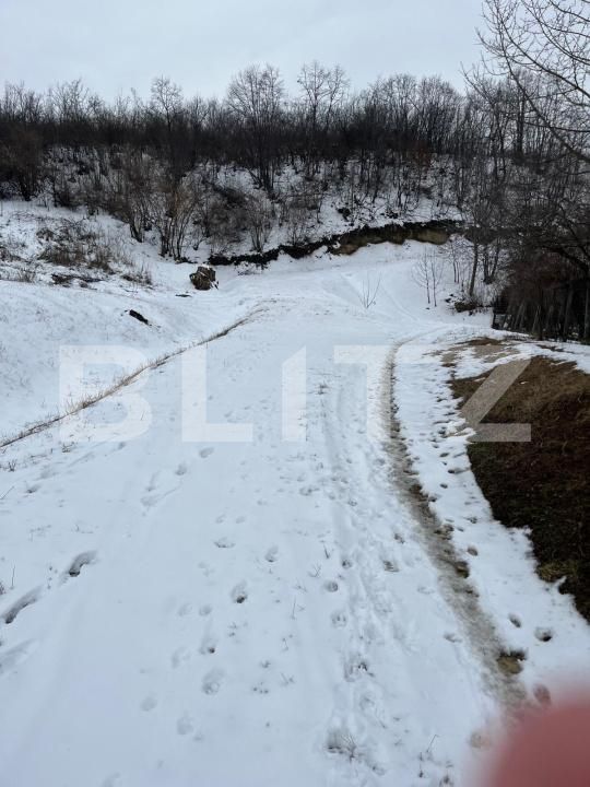 Teren de vânzare Vladiceni - 189004TV | BLITZ Iași | Poza4