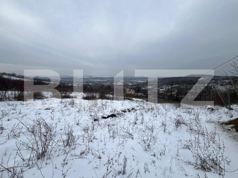 Teren de vânzare Vladiceni - 189004TV | BLITZ Iași | Poza3