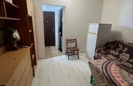 Camera de camin, 17 mp, zona Bularga 