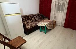 Camera de camin, 17 mp, zona Bularga 