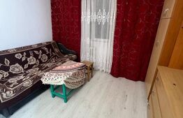 Camera de camin, 17 mp, zona Bularga 