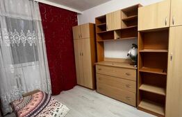 Camera de camin, 17 mp, zona Bularga 