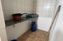 Camera de camin, 17 mp, zona Bularga 