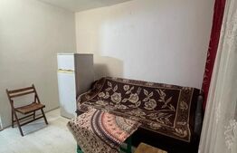 Camera de camin, 17 mp, zona Bularga 