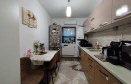 Apartament 2 Camere si Mansarda , Hlincea , 53mp